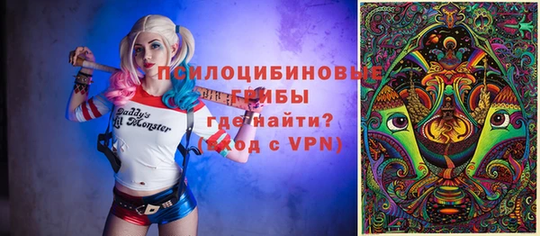 скорость Новозыбков
